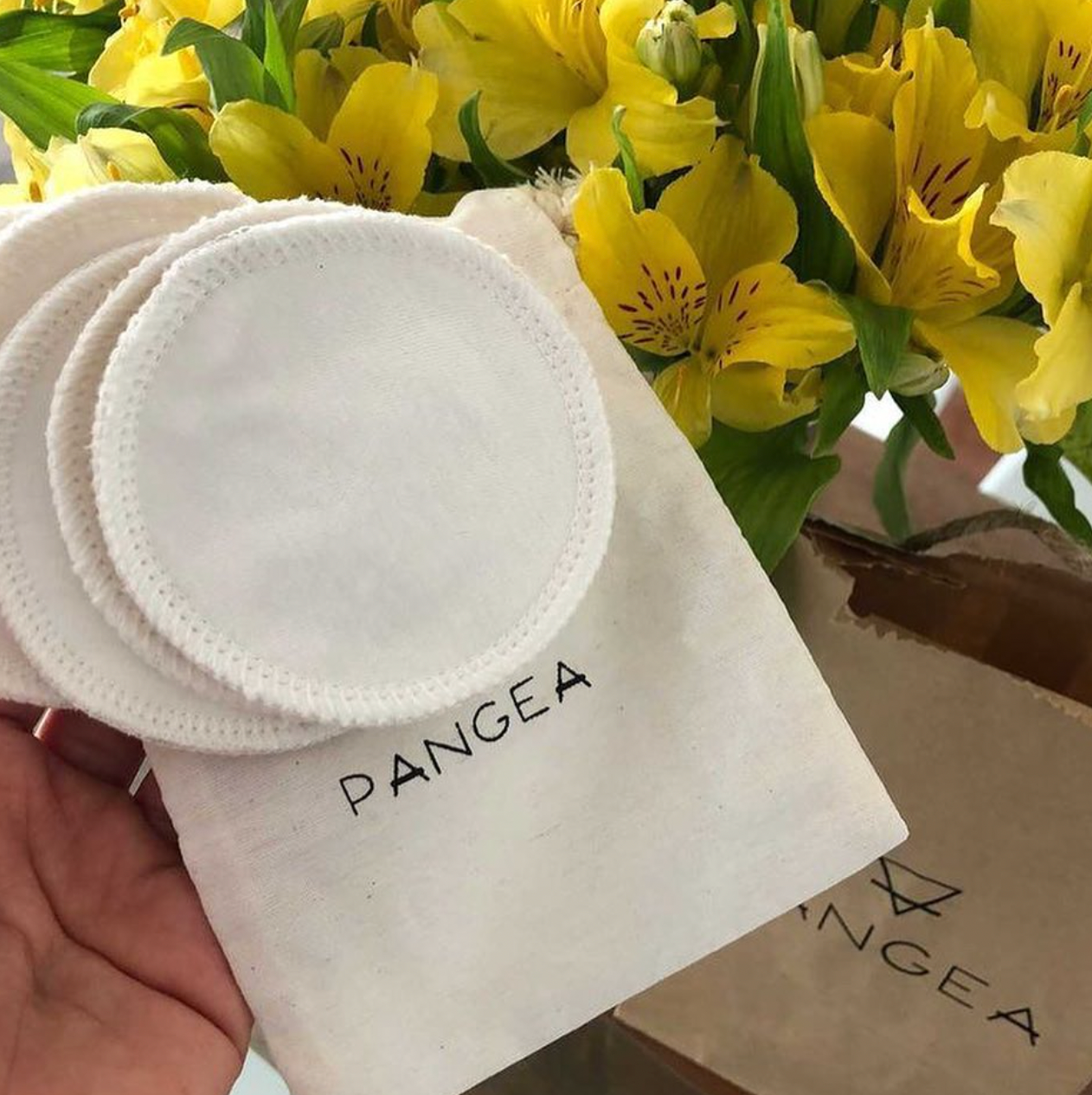 Cotton Pads de algodón orgánico